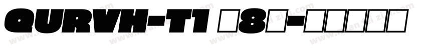 QURVH-T1 (8)字体转换